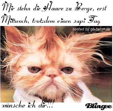 Mittwochsgruesse GB Pic