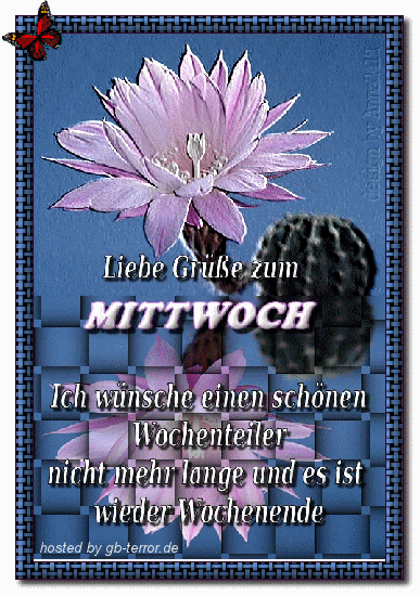 Mittwochsgruß Gaestebuch Bild
