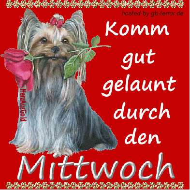 Mittwochsgruss Gaestebuch Bild