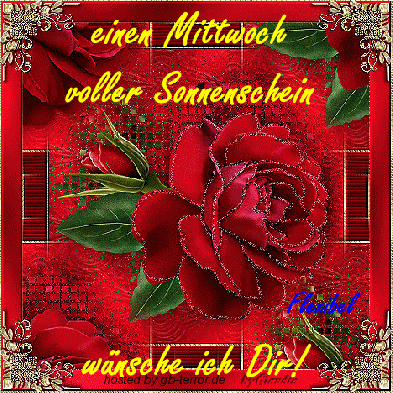 Mittwochsgruss Gaestebuchbild