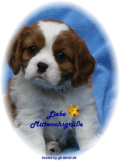 Mittwochsgruss GB Bild