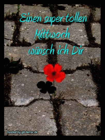 Mittwochsgruß GB Bild