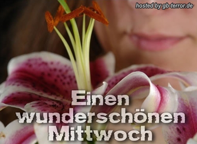 Mittwochsgruss GB Pic