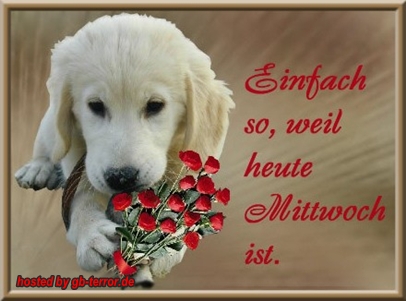 Mittwochsgruss GB Pic