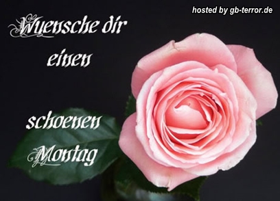 Gästebuch Bild Montagsgrüße