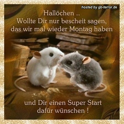 Gaestebuch Bild Montagsgruesse