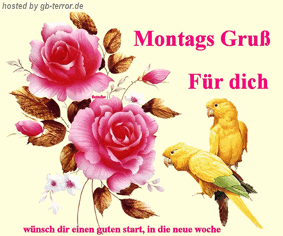 Gaestebuch Bild Montagsgruesse