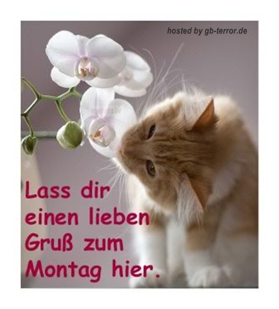 Gaestebuchbild Montag