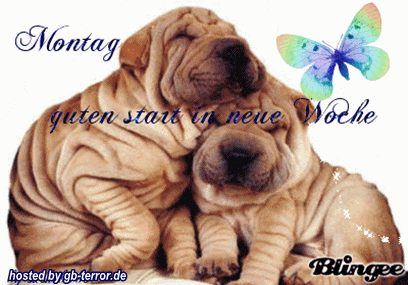 Gaestebuchbild Montag