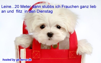 GB Bild Montagsgruss