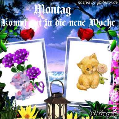 Montag Gästebuch Bild