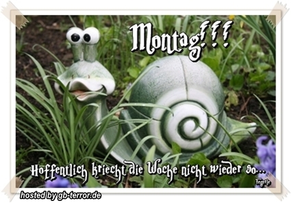 Montagsgruesse Gaestebuchbild