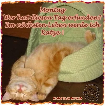 Montagsgruesse GB Pic