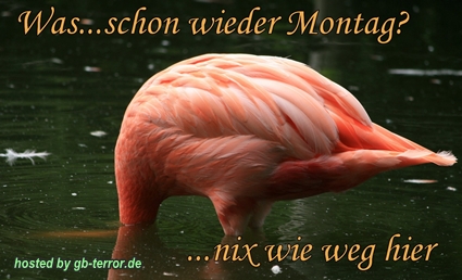 Montagsgruesse GBPic