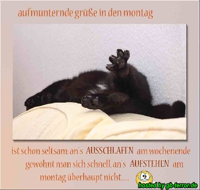 Montagsgruss Gaestebuchbild
