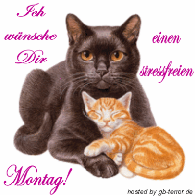 Montg Gaestebuchbild