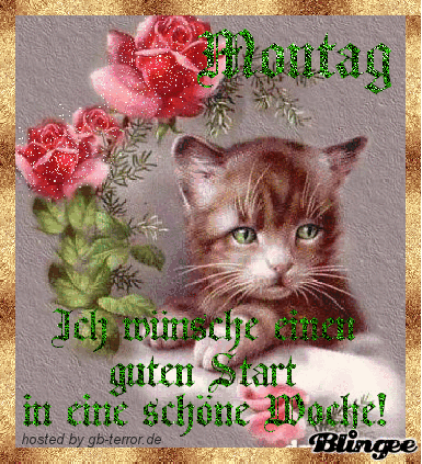 Montags Gästebuch Bild