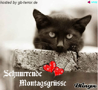 Montags Gaestebuch Bild