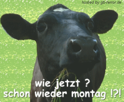 Montags Gaestebuch Bild