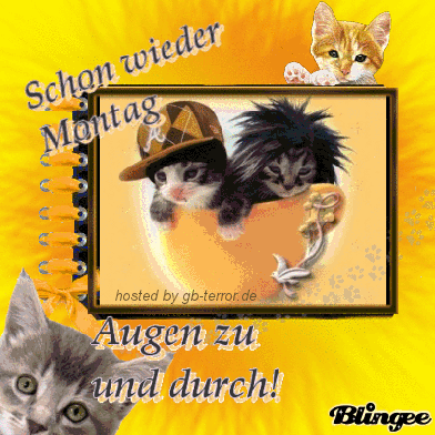 Montags Gaestebuchbild