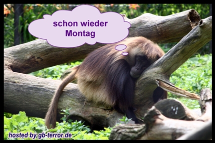Montags GBPic