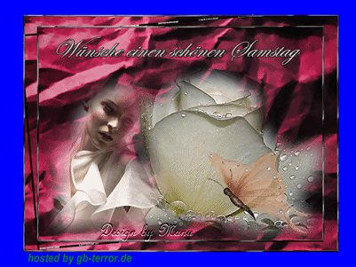 Gästebuch Bild Samstagsgrüße