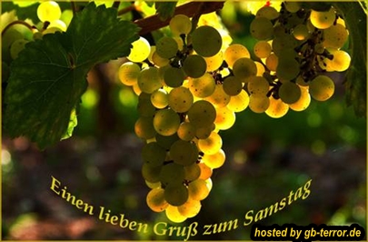 Gästebuch Bild Samstagsgruß