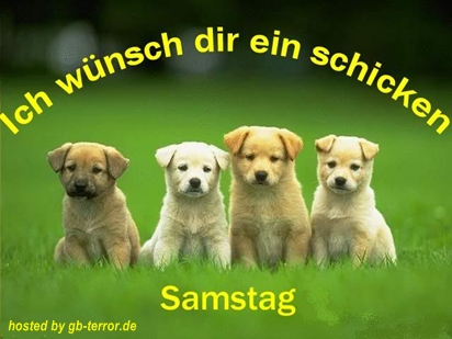 Gaestebuchbild Samstag