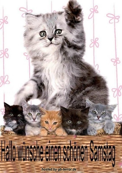 GB Eintrag Samstagsgruesse