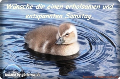 Gb Pic Samstag