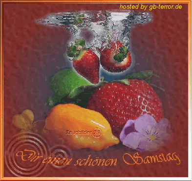 Samstags Gaestebuch Bild