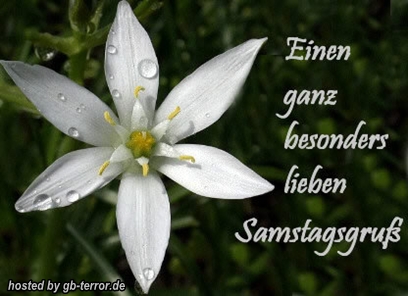 Samstags GB Bild
