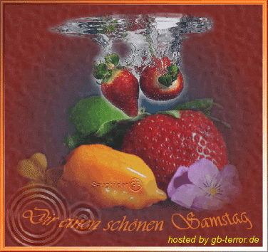 Samstagsgruesse Gaestebuch Bild