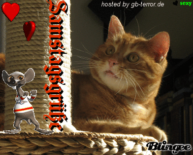 Samstagsgruesse GB Pic