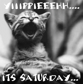 Samstagsgruß Gästebuchbild