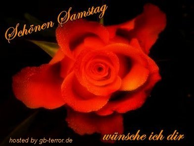 Samstagsgruss Gaestebuchbild