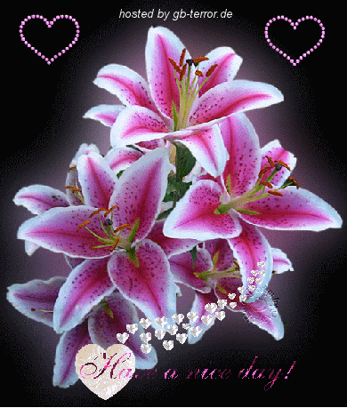 Gästebuch Bild Schönen Tag