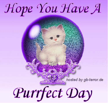 Schönen Tag Gaestebuch Bild