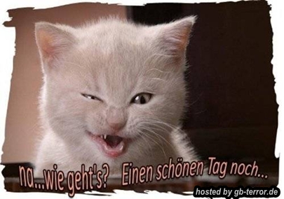 Schoenen Tag Gaestebuch Pic