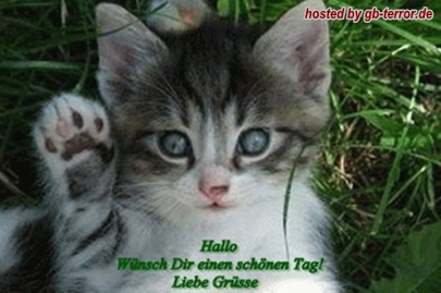 Schoenen Tag Gästebuchbild