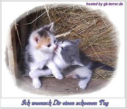 Schönen Tag GB Eintrag