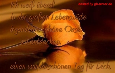 Schoenen Tag GB Bild