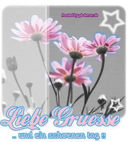 Schoener Tag Gästebuch Bild