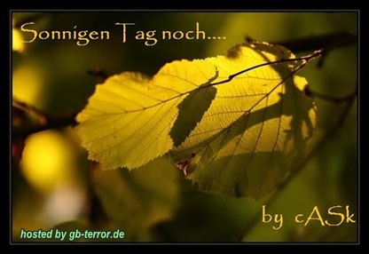 Schöner Tag Gaestebuch Bild