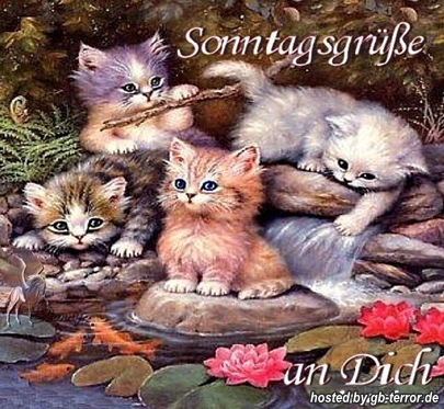 Gaestebuch Bild Sonntag