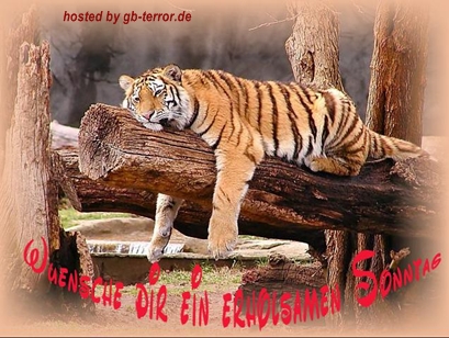 Gästebuch Bild Sonntagsgruesse