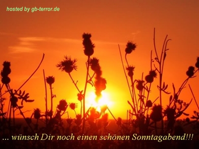 Gästebuchbild Sonntag