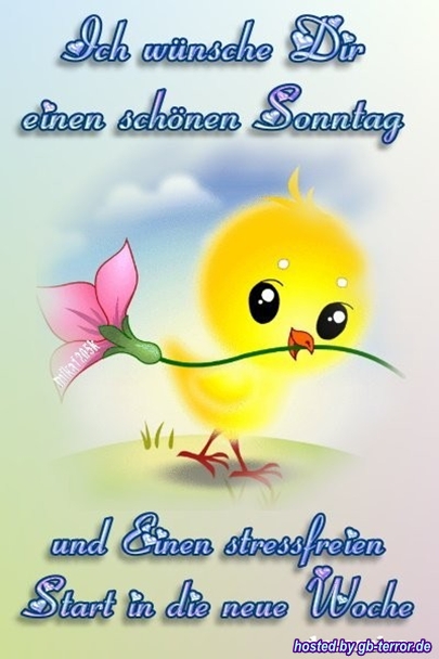 Gaestebuchbild Sonntag