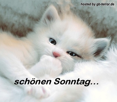 Gästebuchbild Sonntagsgrüße