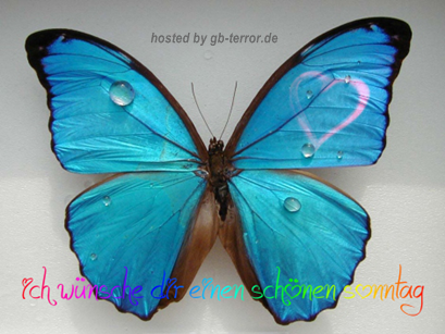 Gaestebuchbild Sonntagsgrueße